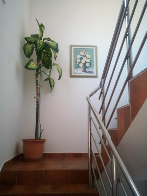 Apartmani Kapitanovic Biograd Na Moru Eksteriør billede
