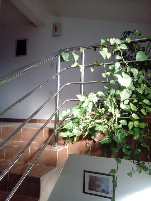 Apartmani Kapitanovic Biograd Na Moru Eksteriør billede